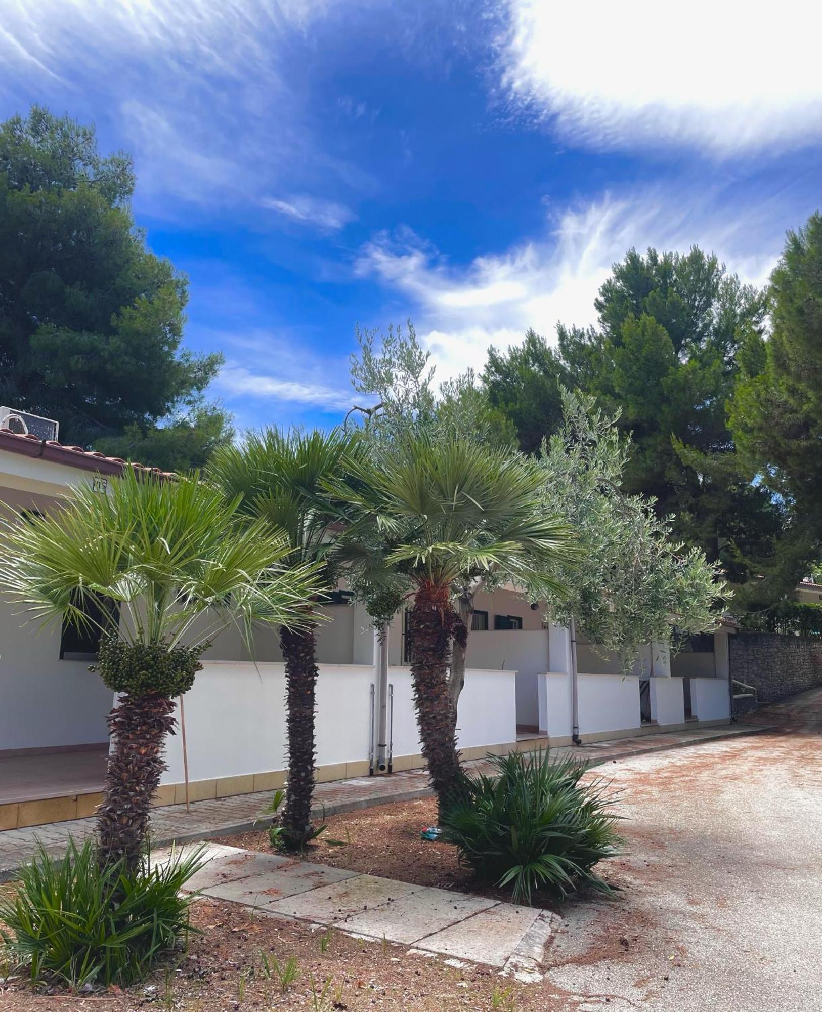 Villaggio La Giara Vieste Exterior foto